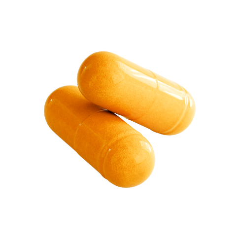 Joint Comfort + Recovery